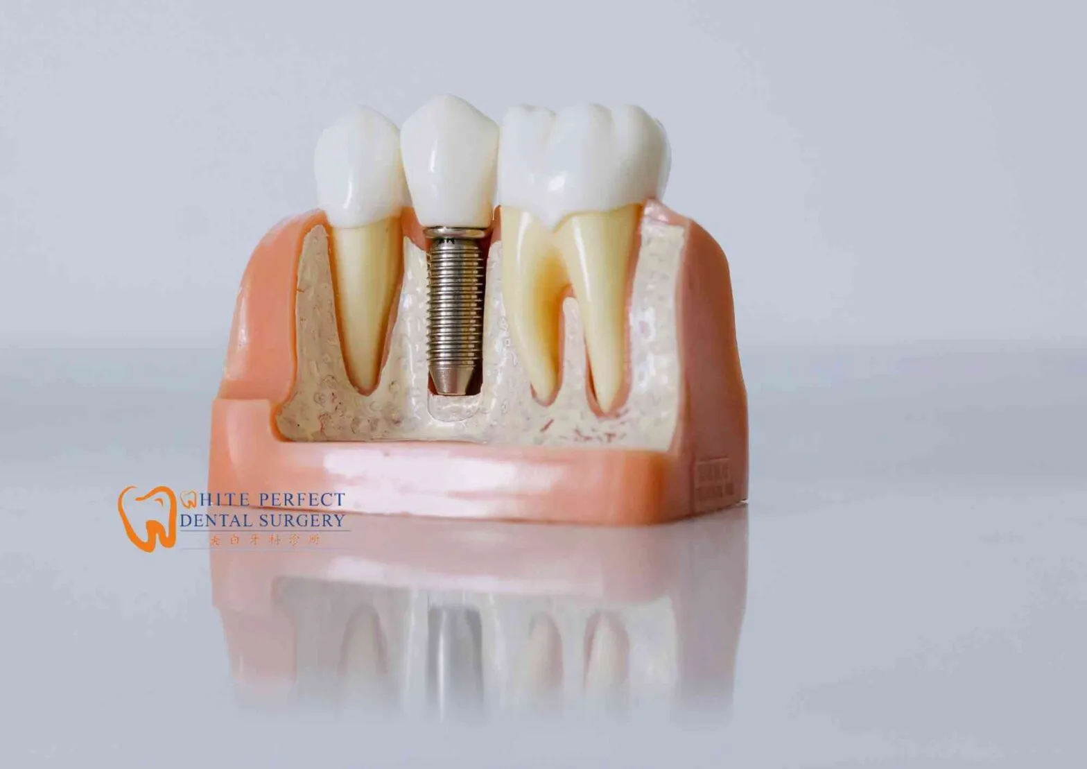 dental services